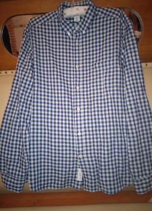 Бомбезна рубашка в клітинку