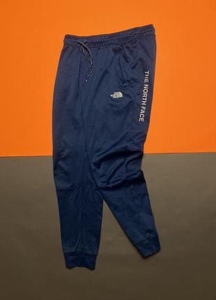 Спортивні штани the north face1 фото