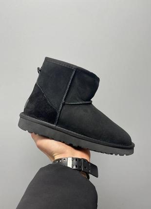 Жіночі натуральні угги ugg classic black suede  (унісекс)