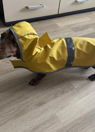 Дождевик двусторонний куртка накидка для собак perfect pows3 фото
