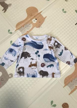 Кофта, кофточка, свитер, свитерок.