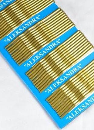 Заколка для волосся н1580-1