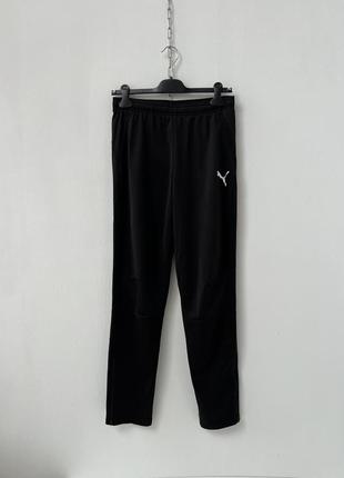 Спортивні штани puma  training pants1 фото