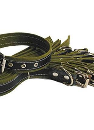 Ремінець-ошийник, комбінований h=25мм арт.100 тм харків