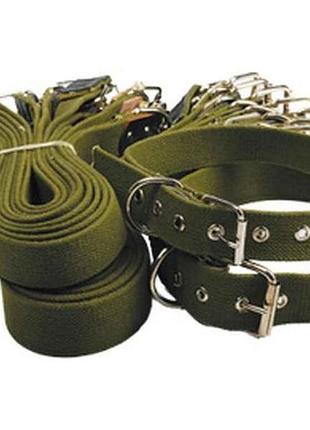 Ремінець-ошийник, звичайний h=25мм арт.95 тм харків