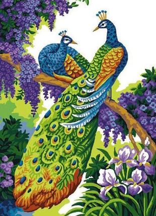Алмазная мозаика на подрамнике павлины на ветке dm-300 30х40см полная заш набор алмазной вышивки птицы,