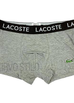 Мужские трусы lacoste, материал хлопок, цвет серый. в наличии разные размеры