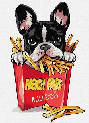 Картина за номерами маленький бульдог ідейка 30 х 40 kho4302