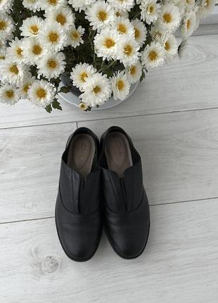 Туфлі від clarks