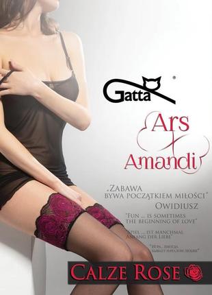 Шовковисті панчохи gatta ars amandi calze rose з оксамитовою коронкою на силіконі