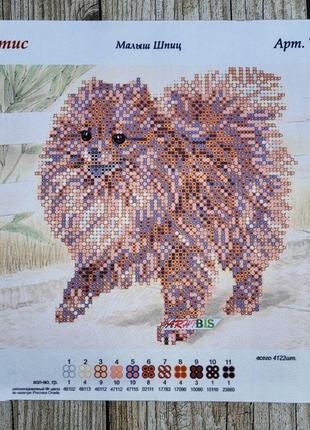 Тм-113 малыш шпиц, набор для вышивки бисером