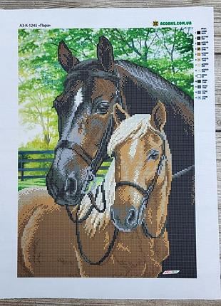 А3-к-1245 пара, набір для вишивання бісером