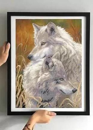 Зпт- 006 волки, набор для вышивки бисером
