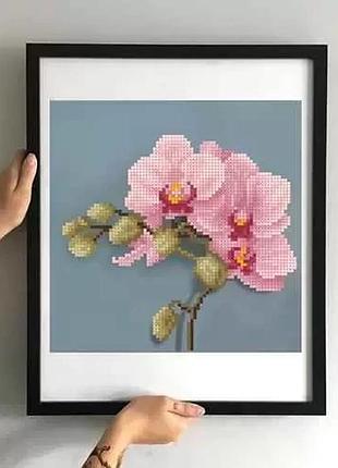 Набор для вышивки бисером "рожева орхідея"
