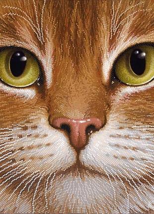 Та-154(3)  рыжик, набір для вишивання бісером