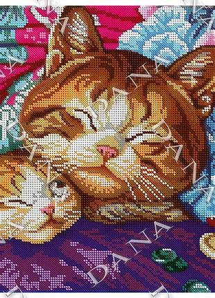 3288  хитрий муркотик, набір для вишивання бісером