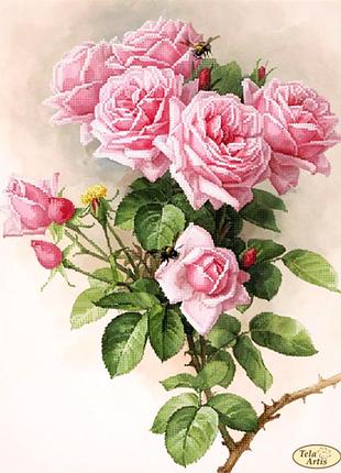 Тк-073  английские розы, набір для вишивання бісером