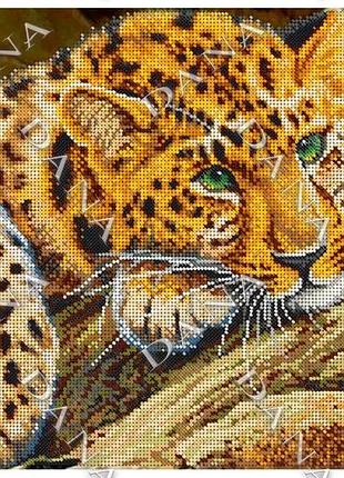 3584 леопард, набор для вышивки бисером