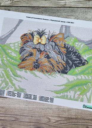 Ник-9941 йоркширский терьер, набор для вышивки бисером