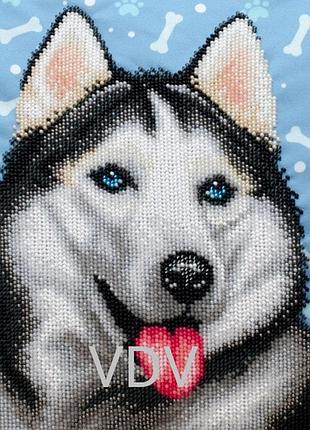 Т-0915  вірний погляд, набір для вишивання бісером