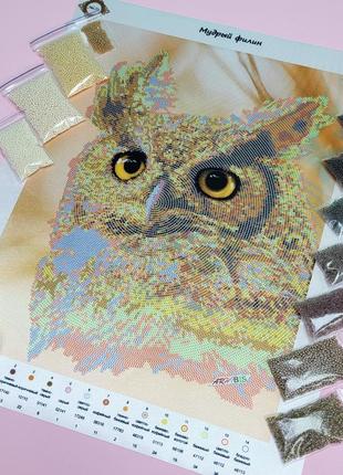 Сл-3240 мудрий пугач, набір для вишивання бісером