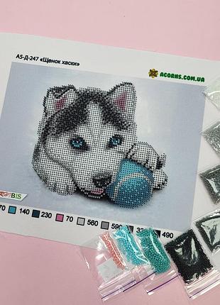 А5-д-247 щенок хаски, набор для вышивки бисером