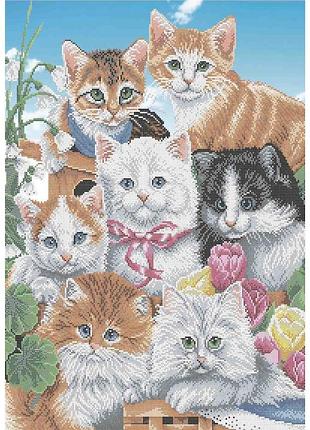 А2-к-1123 весенние котята, набор для вышивки бисером
