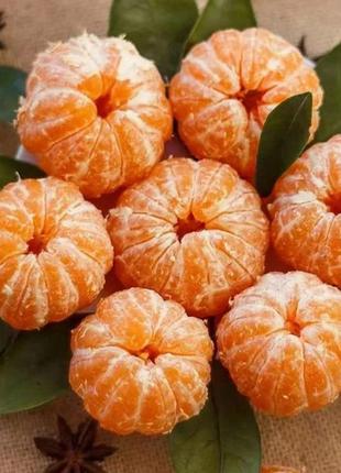 Алмазна вишивка алмазна викладка мандаринки 40x30