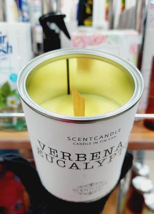 Ароматизированая свеча scentcandle verbena & eucalyptus вербена та евкаліпт в ж/б 240гр