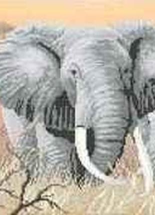 Схема для вишивки бісером " сім'я слонів " часткова викладка, заготівля, 29х56 см
