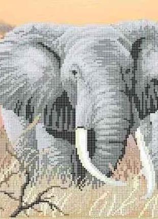 Схема для вишивки бісером " сім'я слонів " часткова викладка, заготівля, 29х56 см2 фото
