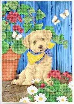 Схема для вышивки бисером " милый песик ",  частичная выкладка, заготовка, 21х29 см