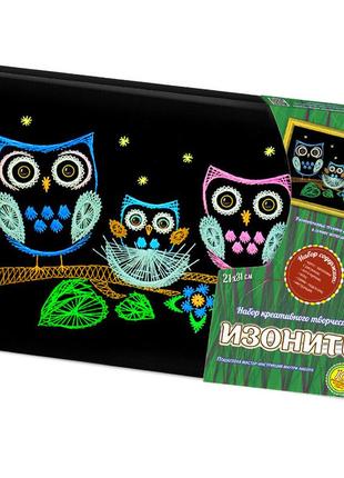 Вишивка хрестиком на підрамнику "сови" изонить, квіти, текстиль канва, муліне, канва, aida 21x31