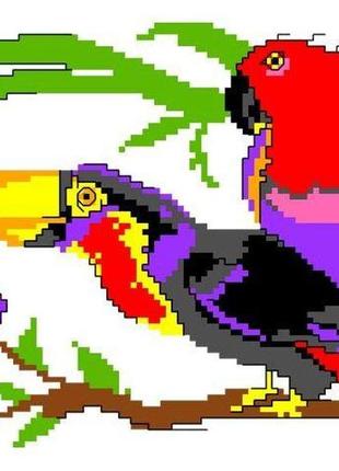 Набір для вишивання нитками хрестом "папуги" нитки, муліне, канва, голка, канва з малюнком