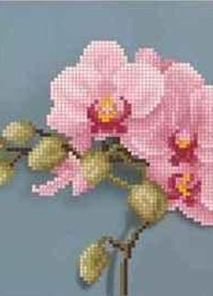 Схема для вышивки бисером " розовая орхидея " частичная выкладка, заготовка, 17х17 см