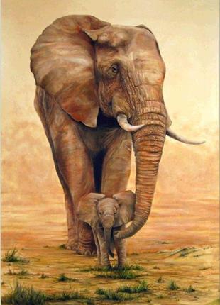 Алмазна вишивка "сім'я слонів", райдужний, літо, сонце, повна викладка, мозаїка 5d, набори 30х40 см