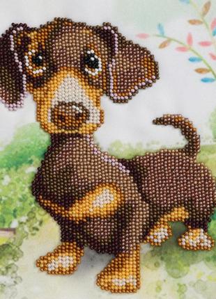 Набор для вышивки бисером "собачка такса" природа дом ребенок частичная выкладка,чехия, 17х17 см