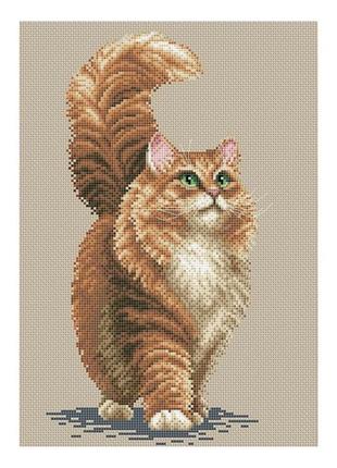 Набор для вышивания нитками крестом " мечтательный кот " кошка кот ночь звезды aida  мулине дмс  pony 18x26 см