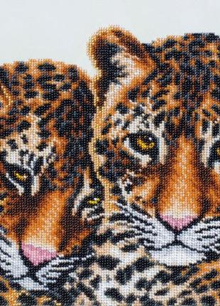 Набір для вишивки бісером "леопарди" савана, левиця, тигреня, кіт, милий, часткова викладка, чехія, 32х25 см