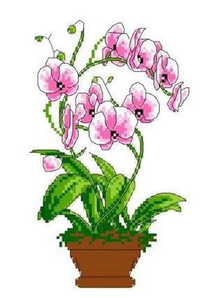 Набор для вышивания нитками крестом " букет из орхидей " нитки, мулине, канва, игла, канва с рисунком