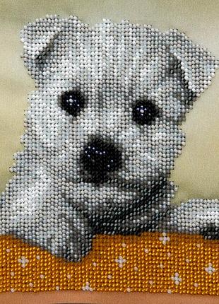 Набір для вишивання бісером песик бонні милашка вест тер'єр часткова викладка,чехія 17х15 см