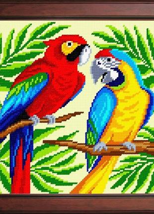 Набір для вишивки хрестиком " пара папуг " zweigart madeira муліне 25х25 см