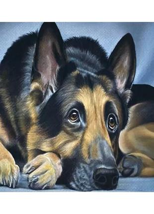 Алмазная вышивка " милая немецкая овчарка "  полная выкладка мозаика 5d наборы 30х40 см