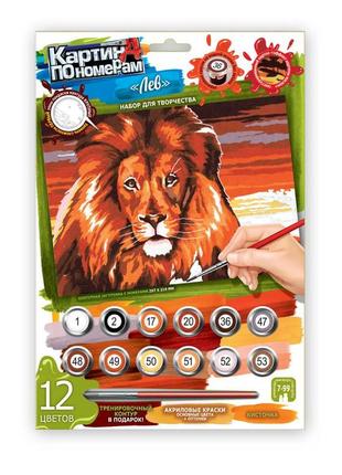 Картина за номерами " лев " з фарбами та пензликами стандартні картини за цифрами 32x23 см