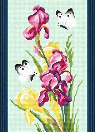Набір для вишивання хрестиком «капустяниці на ірисах» aida madeira zweigart муліне 18х30 см