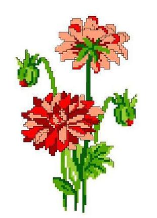 Набір для вишивання нитками хрестом "жоржини" нитки, муліне, канва, голка, канва з малюнком