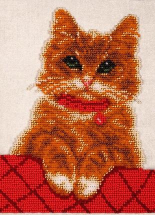 Набор для вышивки бисером " котик персик " рыжий милашка котенок частичная выкладка,чехия 16.5х20 см