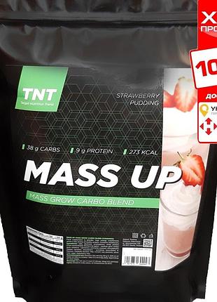 Mass up gainer гейнер високобілковий tnt (2,5 кг) +омега-3 tnt (60 капсул)