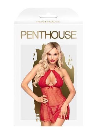 Комплект сорочка в стиле 60-х и трусики с доступом penthouse - libido boost red m/l2 фото