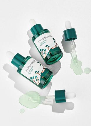 Заспокійлива сироватка з екстрактом голок сосни round lab pine calming cica ampoule 30 ml